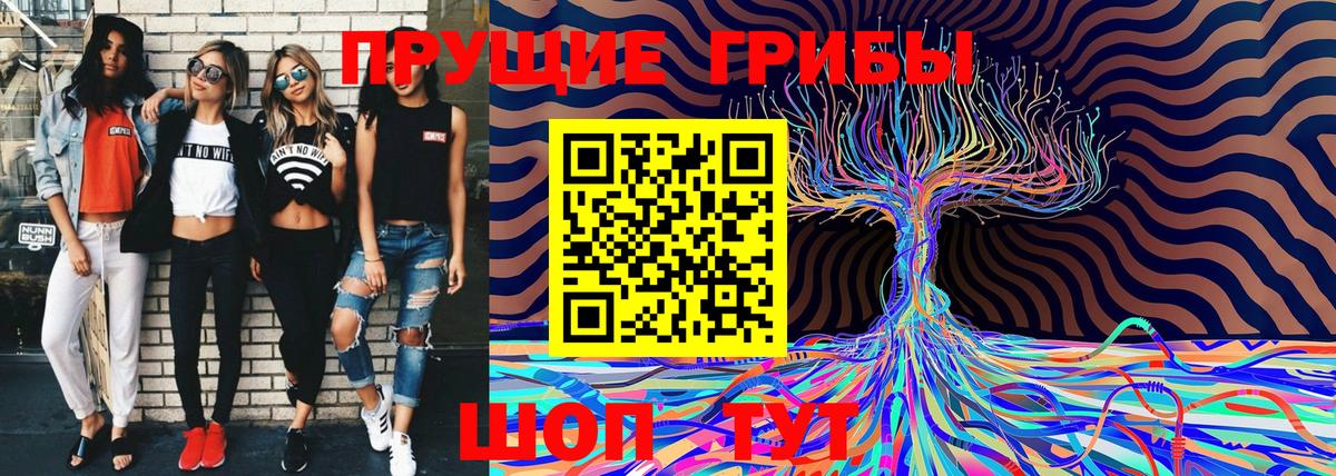 Псилоцибиновые грибы ЛСД Гудермес